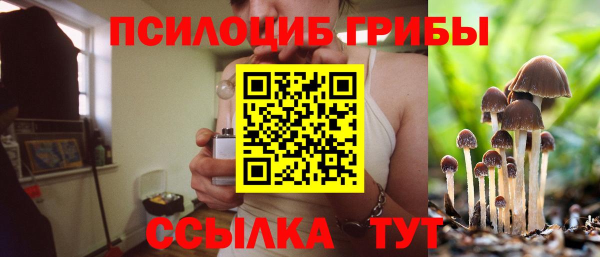 Галлюциногенные грибы прущие грибы  Салават  Псилоцибиновые грибы MAGIC MUSHROOMS 