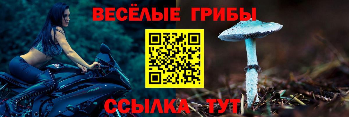Салават  Псилоцибиновые грибы Cubensis  Вход с VPN 