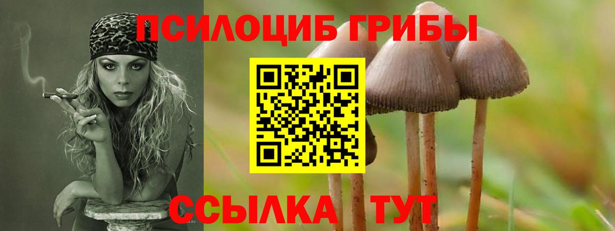 Псилоцибиновые грибы MAGIC MUSHROOMS Салават
